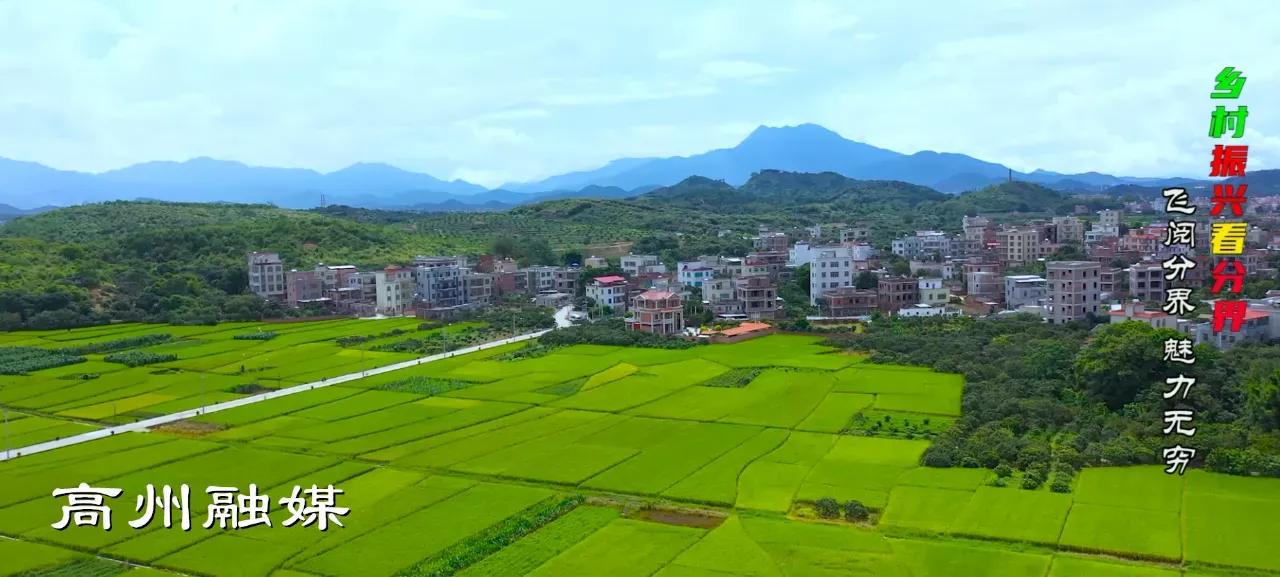 飞阅系列,飞阅新闻最新消息