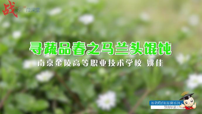 “智老师的招招鲜”微视频课程15《马兰头馄饨》（附视频）