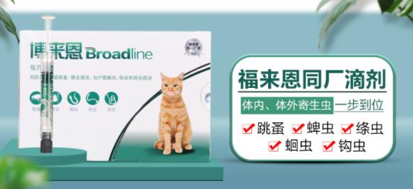 外国兽医帮狗狗清除蜱虫,狗狗长蜱虫怎么去除