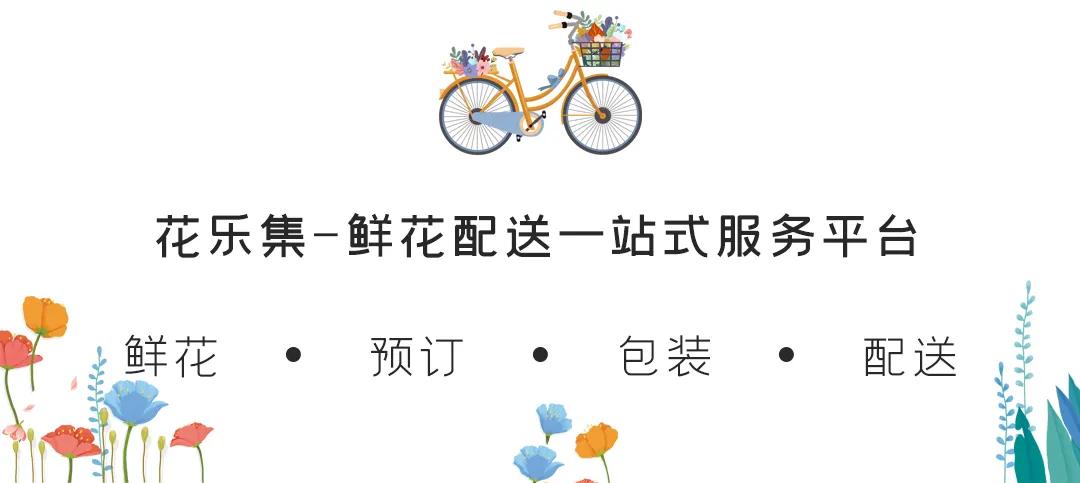 同城送花平台,全国同城送花哪个平台好