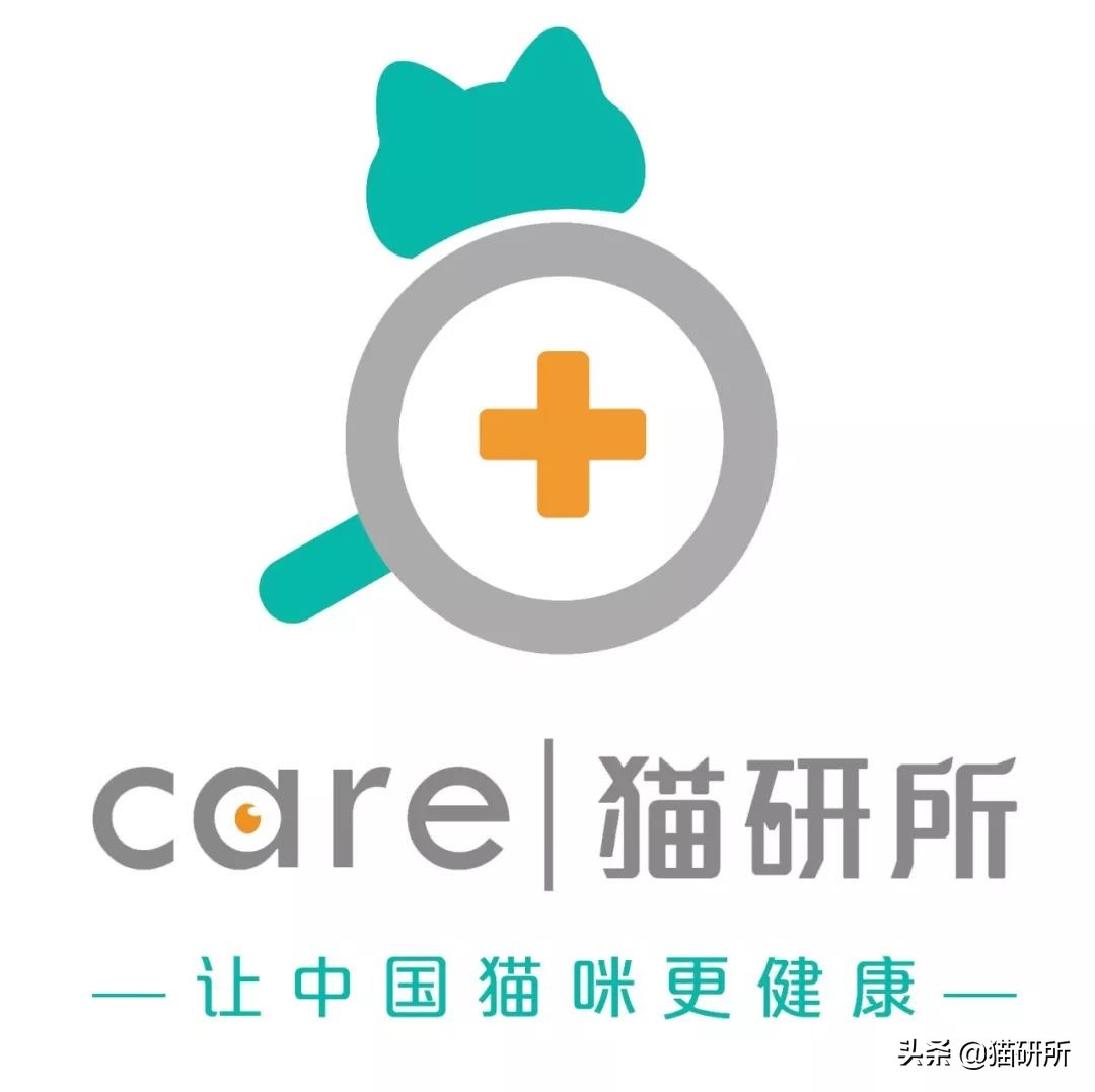 当猫咪第一次吸猫薄荷,猫咪会对薄荷过敏吗