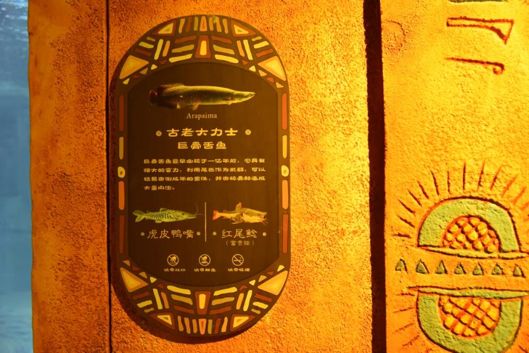 100个梦幻乐园,超2000平的梦幻王国游乐场