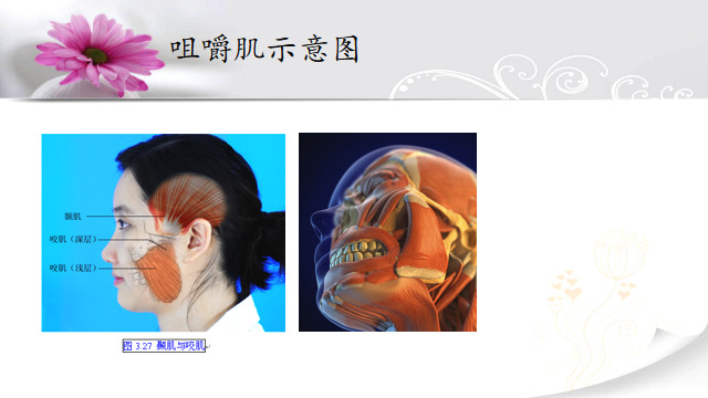 打瘦脸针有什么副作用,咬肌发达打瘦脸针有什么副作用吗