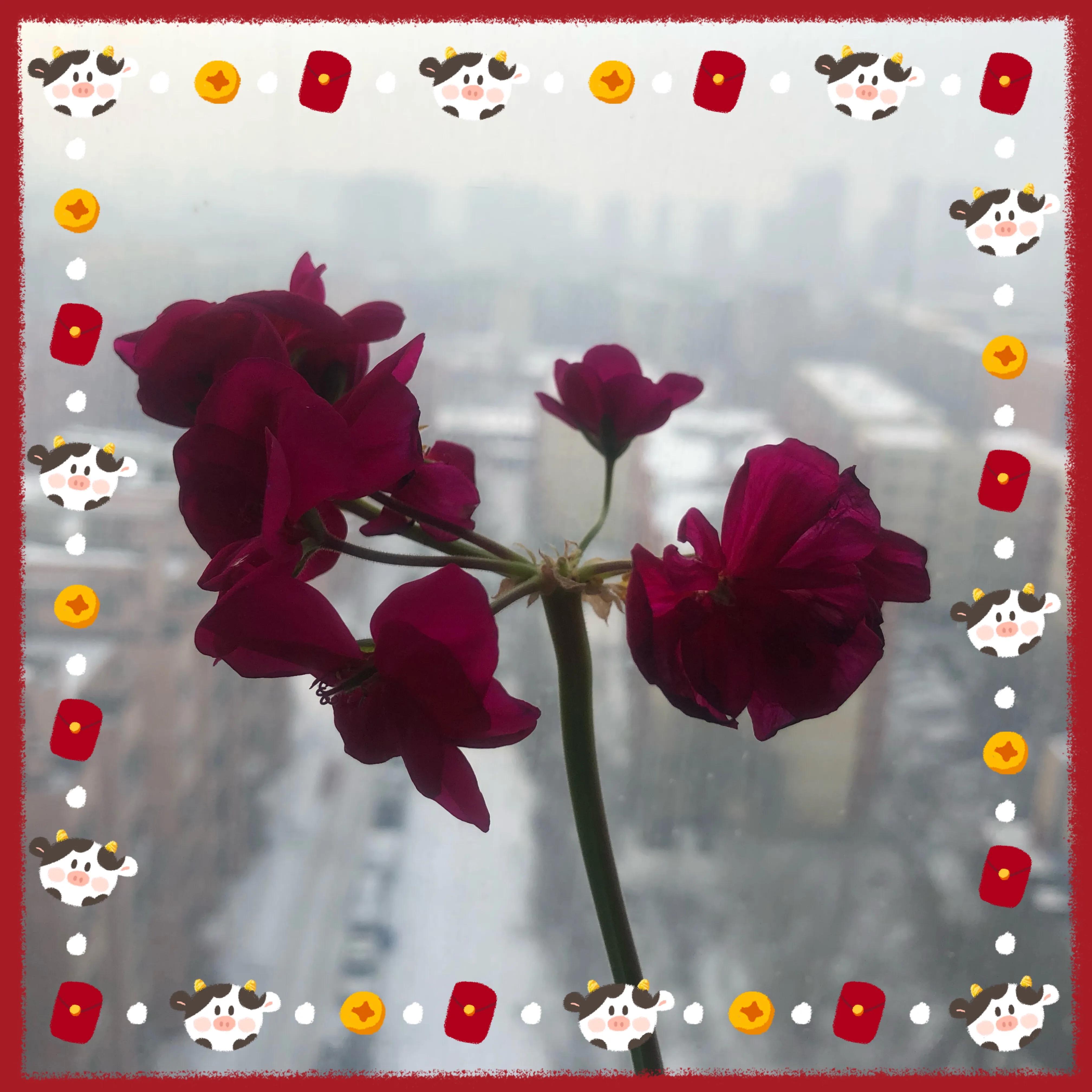 红包里没有钱你会爱我吗,红包里没有钱怎么办