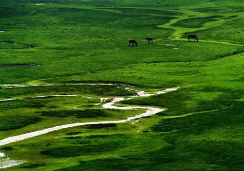 昆明周边适合三四天玩的景点,五一昆明周边自驾游