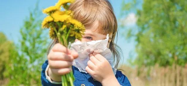 抗过敏治疗季节性鼻炎,免疫抑制剂治疗鼻炎