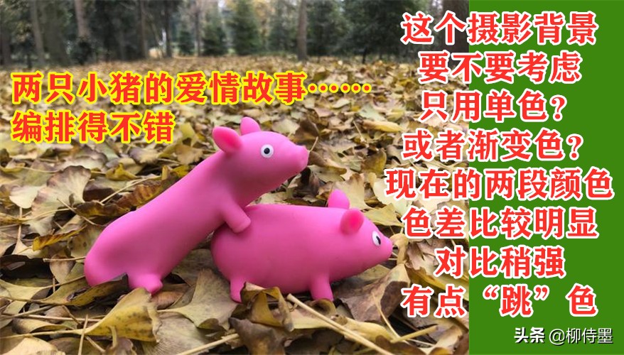 摄影新手如何拍摄照片教程,新手学习摄影入门第一步