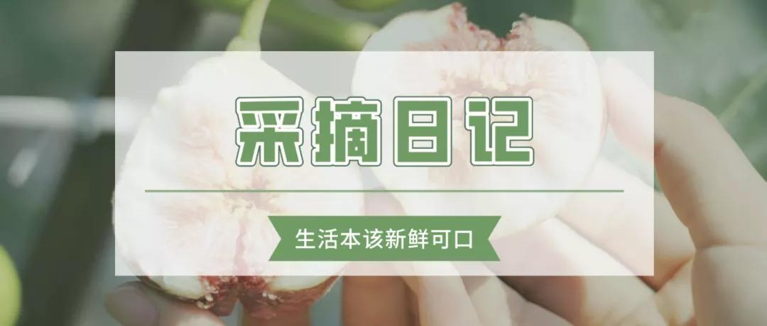 太好吃了！无花果上市，查收一份来自东西湖区的甜蜜暴击