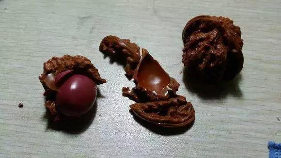 被虐千百遍，还能当初恋对待的恐怕只有它们了……