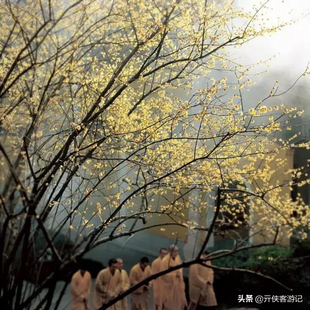 全球消费最低城市,全球消费最低的国家