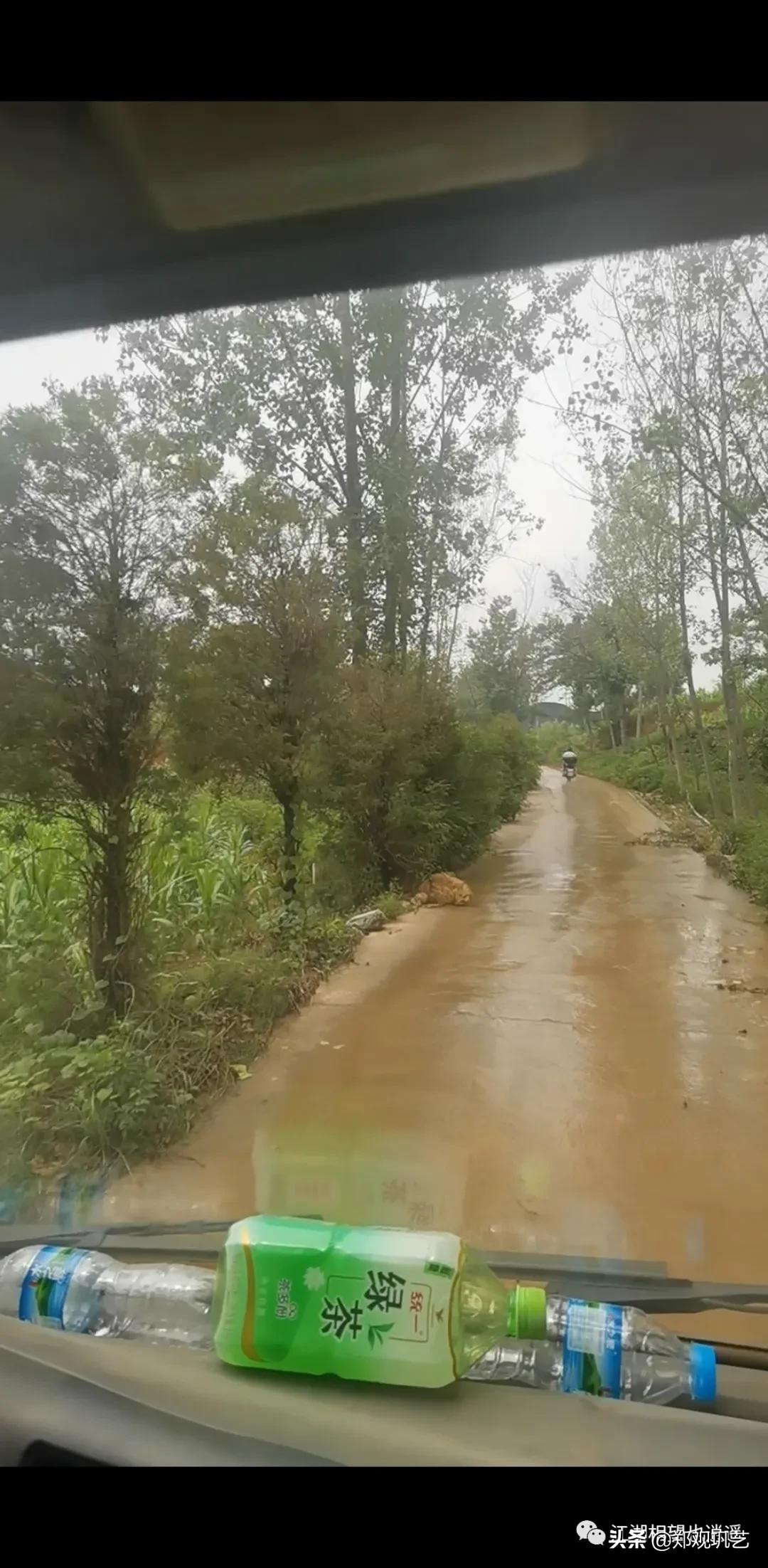 河南巩义暴雨有多可怕视频,河南巩义遭遇特大暴雨
