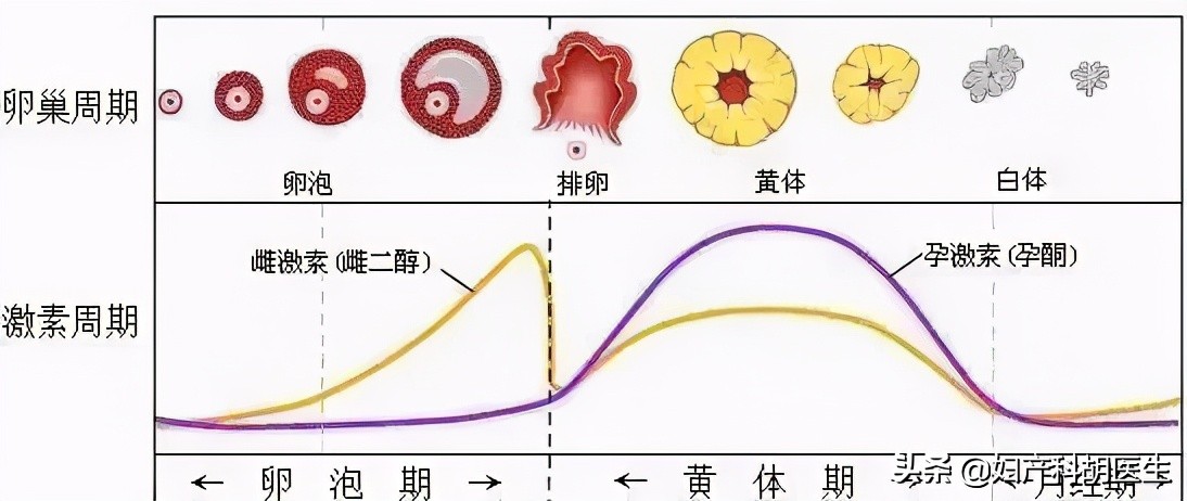 辟谣月经不能洗头,经期辟谣
