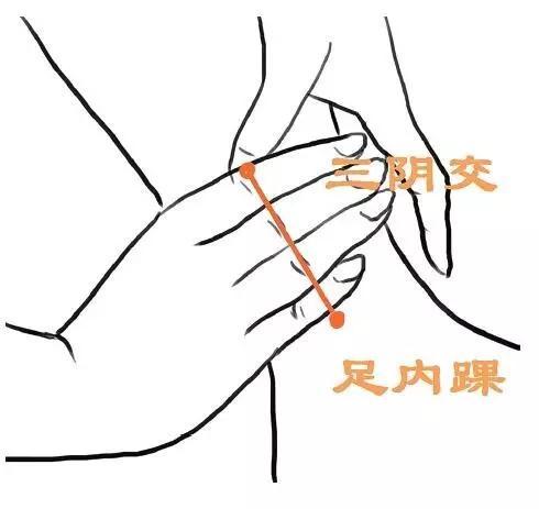 按三阴交穴位要关注什么,能延缓女人衰老的穴位三阴交穴