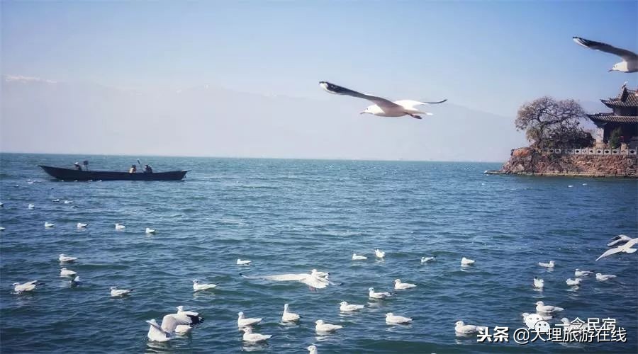 洱海深度游玩攻略,去洱海最该去哪个地方