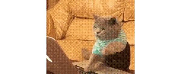 惠普s700固态硬盘拆解,惠普s700固态硬盘评测