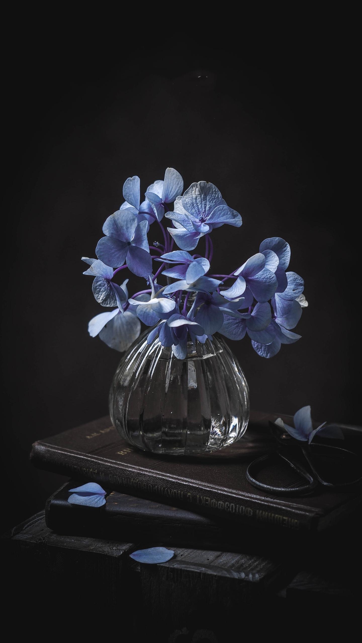 给懒女人的忠告,懒女人最好的解决办法