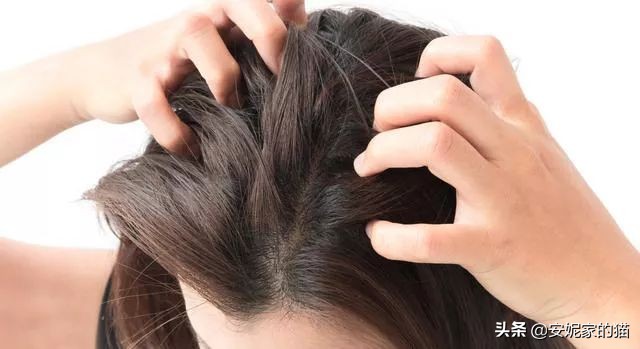 头皮长痘痘一招解决,头皮长痘痘瘙痒是什么原因