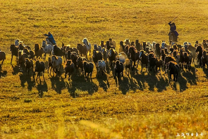 行摄美景,行摄塞外美景