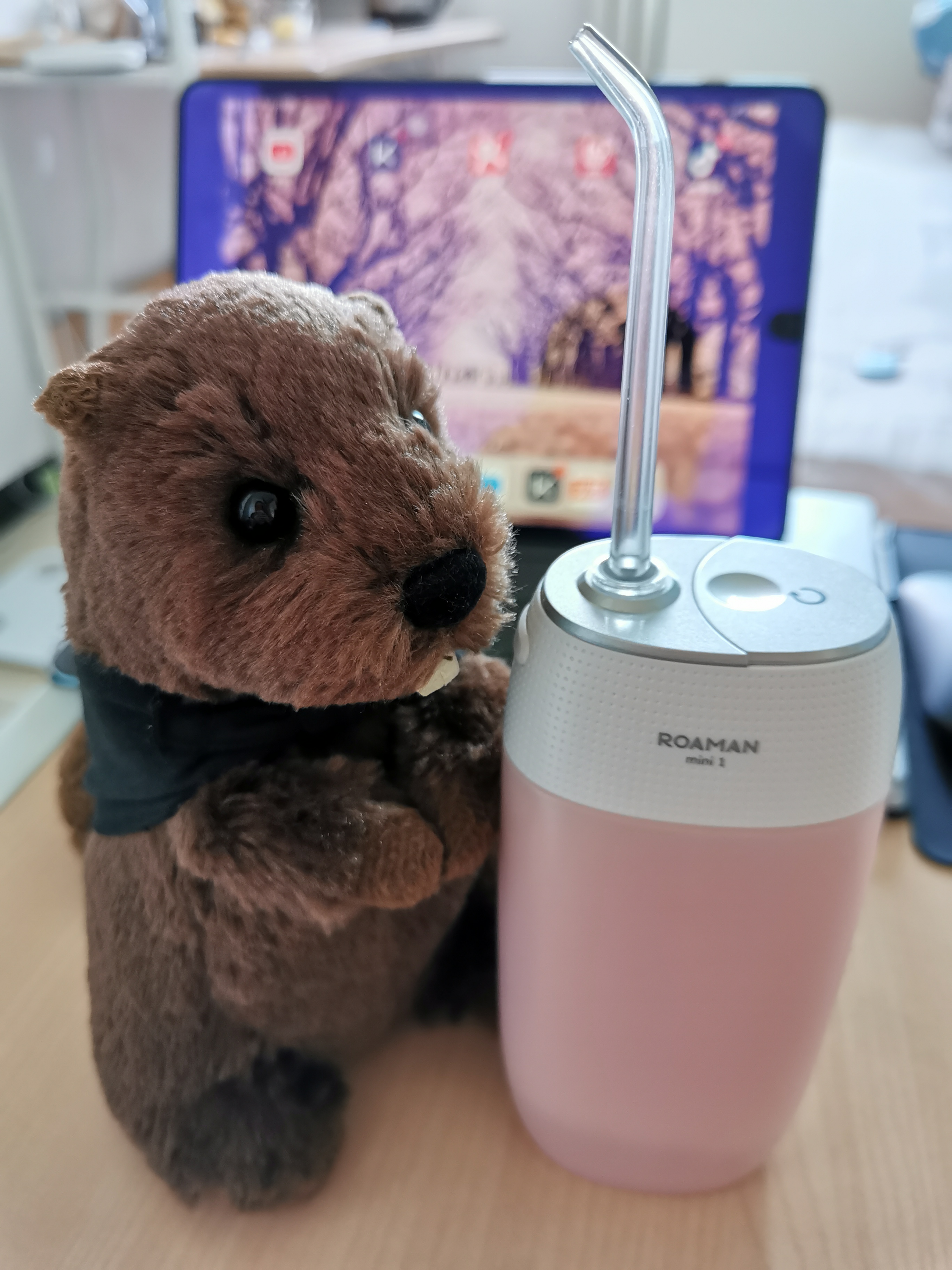 张怼怼的日常,张怼怼日常合集