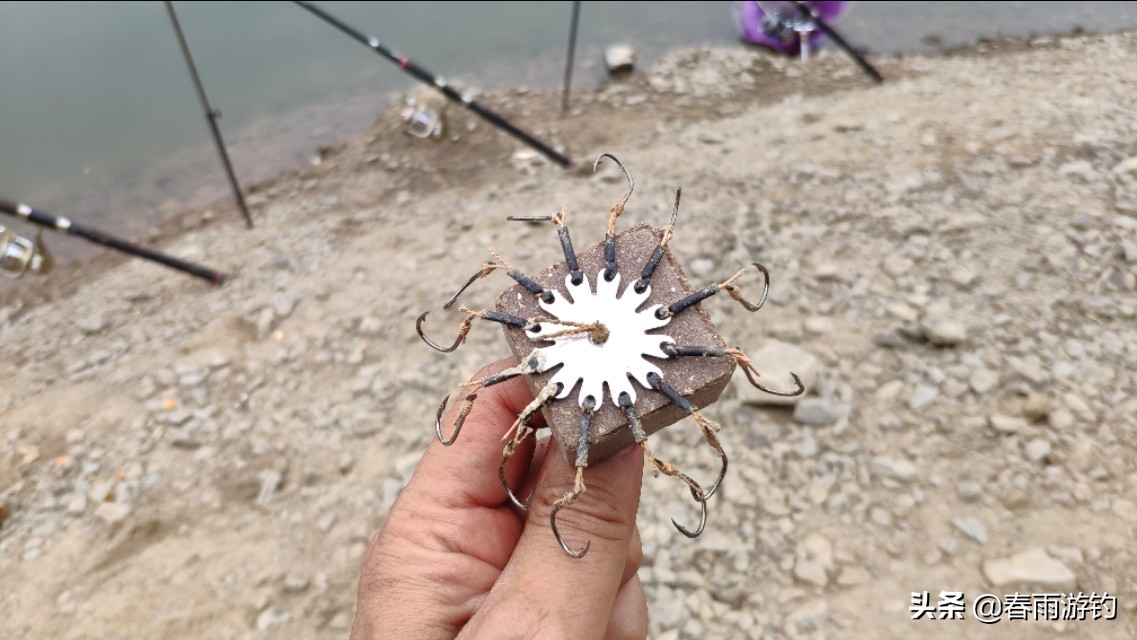 黄尾鲴鱼窝料推荐,钓黄鲴鱼用什么饵料