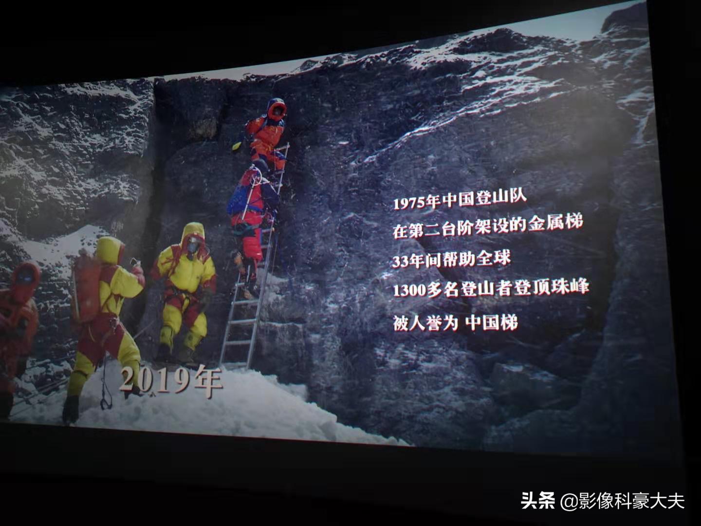 肺癌基因突变会遗传后代,基因突变的肺癌遗传吗