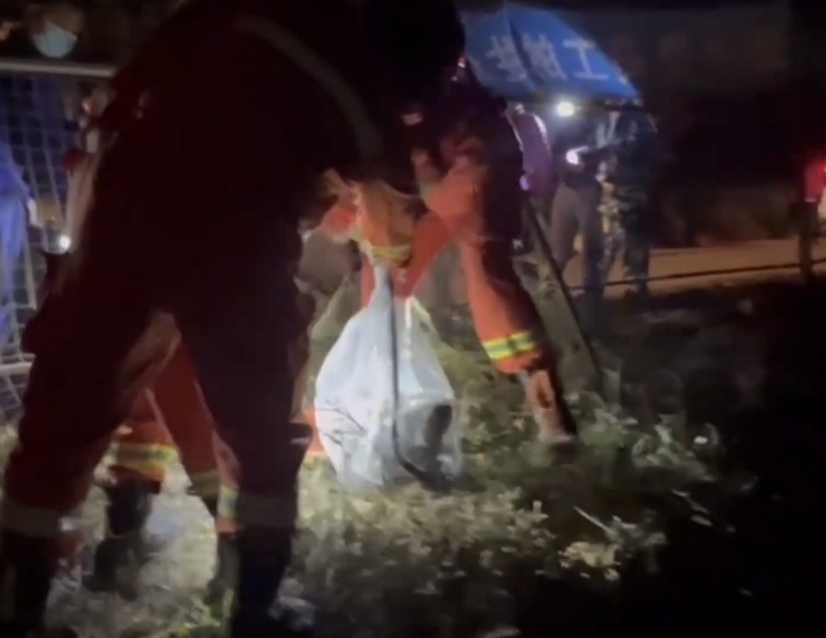 可怕40斤巨蟒藏天花板,吓人巨蟒