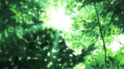 开灯后为什么听不到蚊子嗡嗡声,关灯蚊子嗡嗡叫开灯却找不到