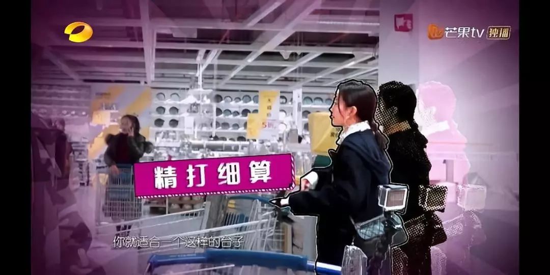 包文婧请保姆,包文婧家政
