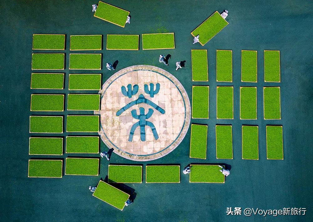 你是我的荣耀齁甜,你是我的荣耀结局甜吗