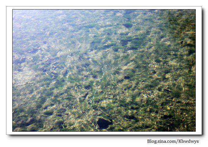 生活杂记|济南章丘百脉泉（20111212）