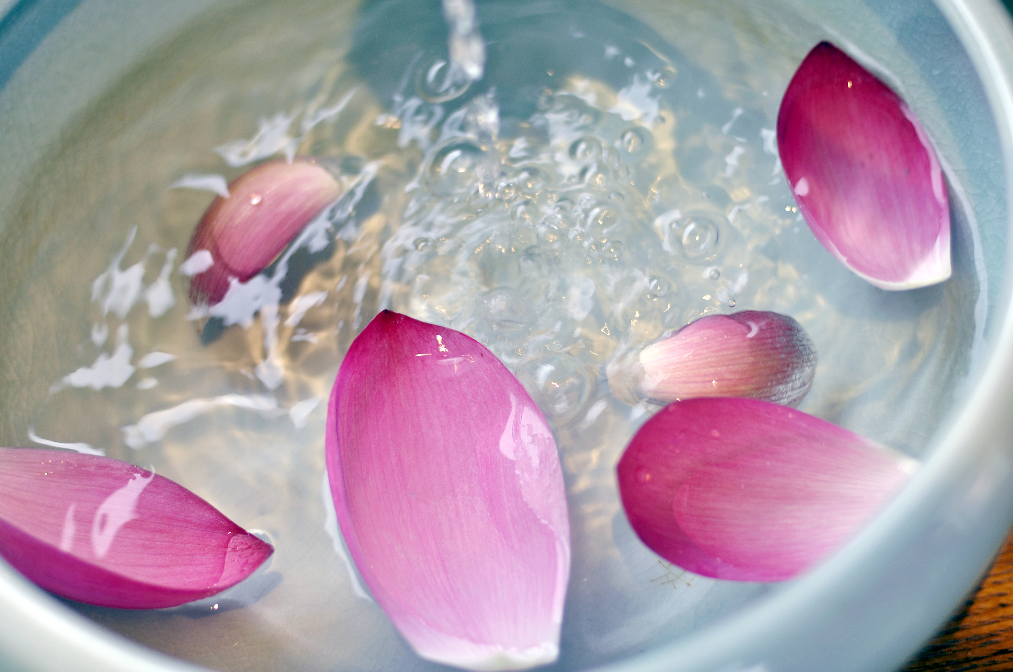 【读书会所】煜美人重启，喜欢诗酒花茶的朋友，来这里相约吧