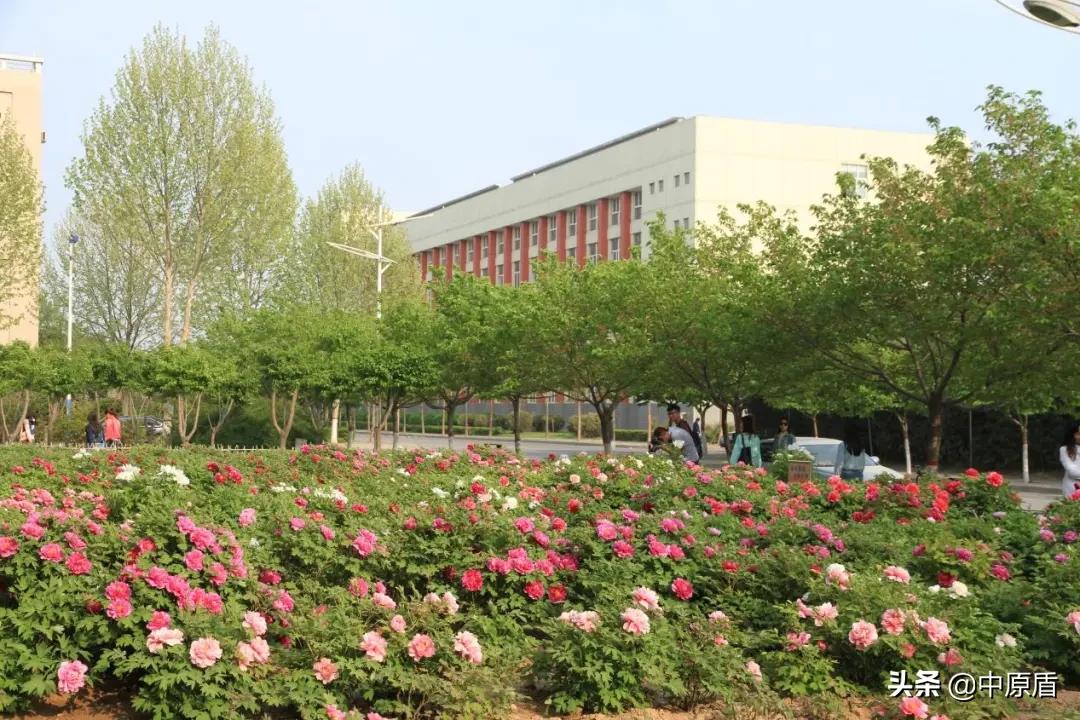 许昌学院河南专业录取线,许昌学院理工科