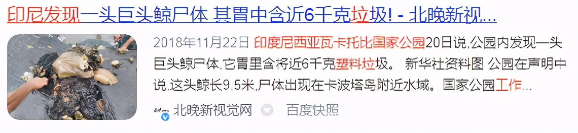 我们丢掉塑料袋都去哪了,我们被丢掉的塑料都去哪里了