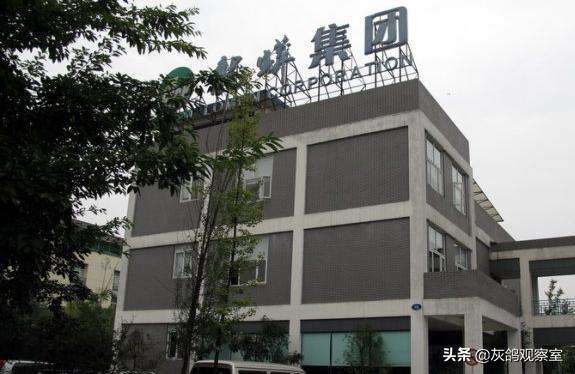 四川富豪“大撤退”，127亿卖掉两家公司，如今再套现18亿