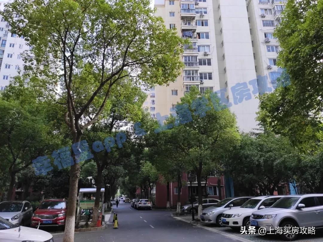 闵行区平南小学怎么样,中环双学区房多少钱