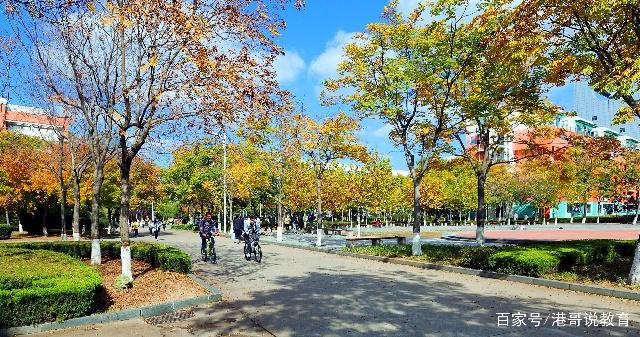 青岛石油大学就业情况,中国石油大学就业率高吗