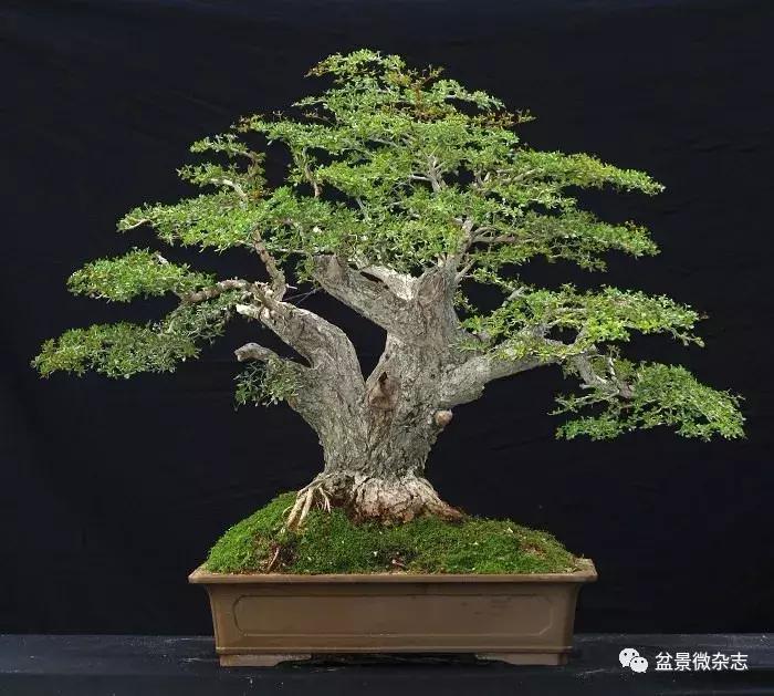 催老的坏习惯有哪些,催人老的四大秘诀