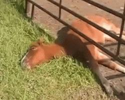 常见的20种网赚骗术揭秘,韭菜有效套路