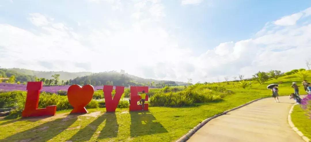 曲靖这31个景点你都去过了吗,曲靖千亩花海美景