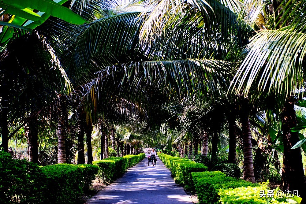 西双版纳澜沧江边美景如画,西双版纳空中夜景