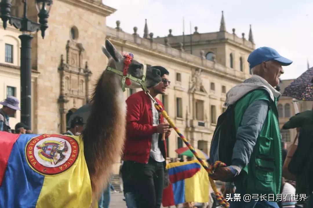 打工换宿厦门,新西兰打工换宿靠谱吗