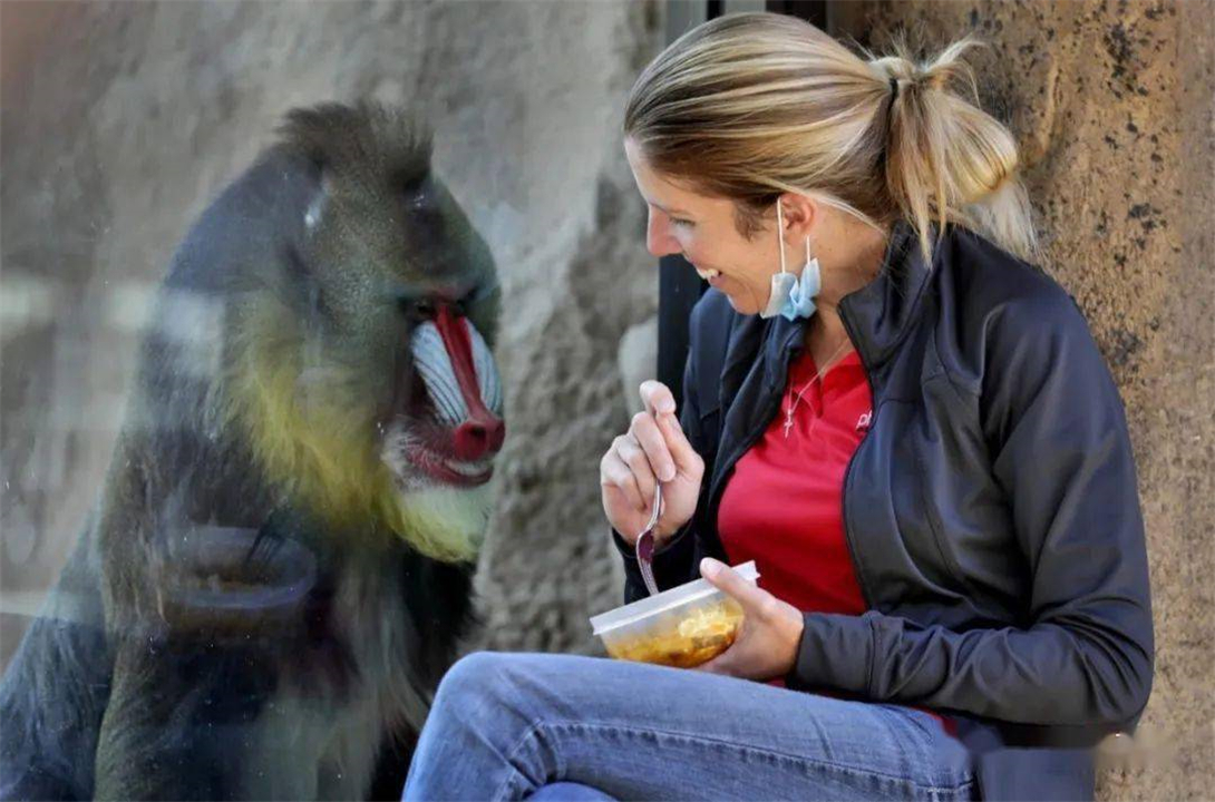 涨姿势世界七大著名心理学效应,动物都可能得抑郁症吗