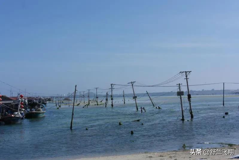 海南南湾猴岛上的猴子,海南著名的南湾猴岛在哪里