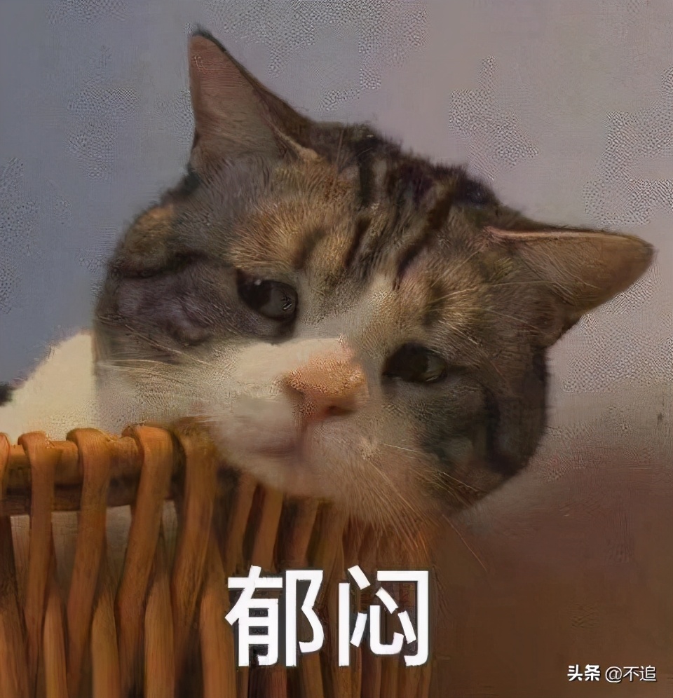 说点干唇不想听的，有的网红唇膏，真不一定好用