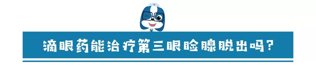 儿童眼角长个黑色的小肉球,小奶猫眼睛长肉球怎么办