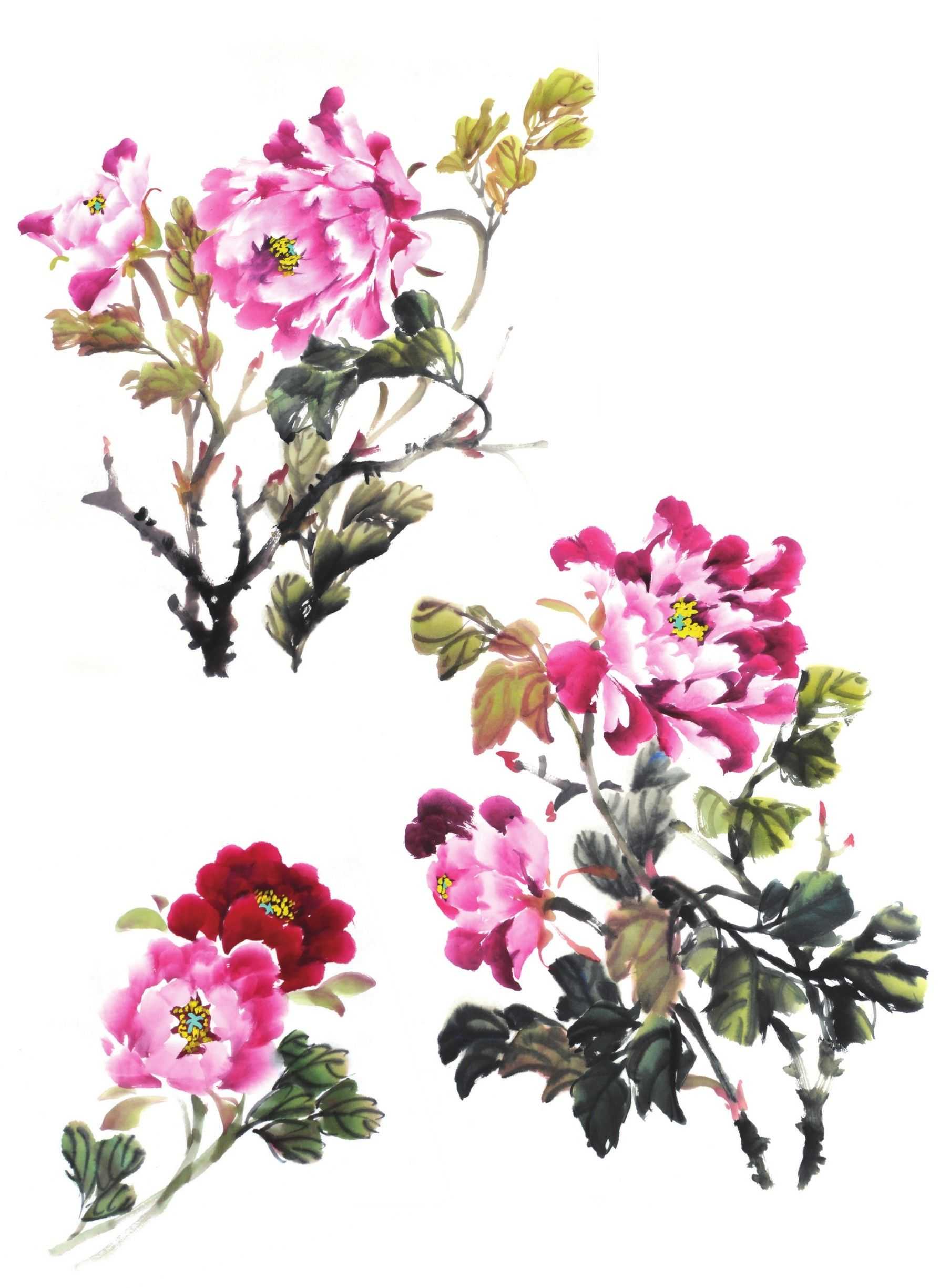 各种花的画法教程简笔画,各种花的画法大全简单漂亮