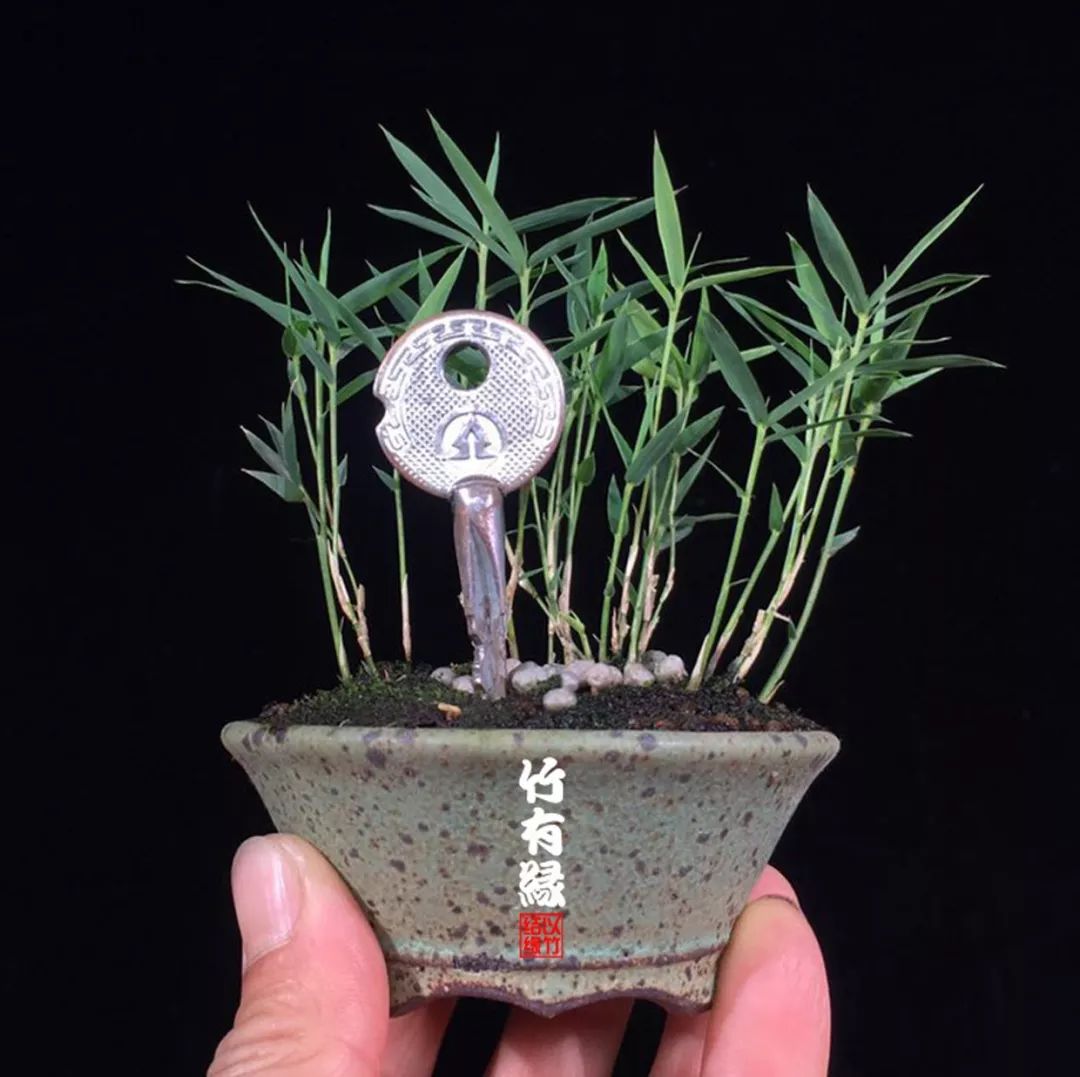 冬天来了你家备暖气片了吗,冬天来了你家棉拖准备好了吗