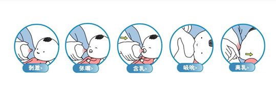 喂养姿势不对会导致婴儿脑瘫嘛,喂养姿势不对会引起呛奶么