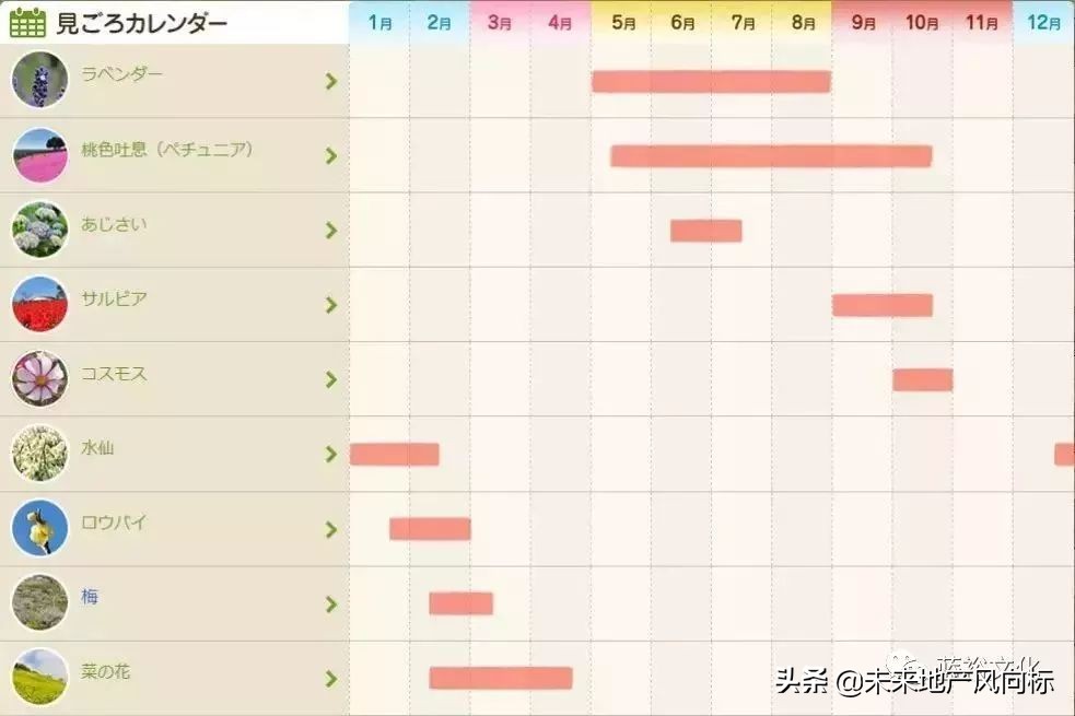 母亲牧场要玩多久,低成本花园家庭农场亲子乐园
