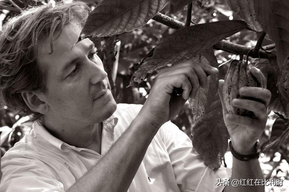 哪个牌子的比利时巧克力好吃,小众又好吃的巧克力推荐